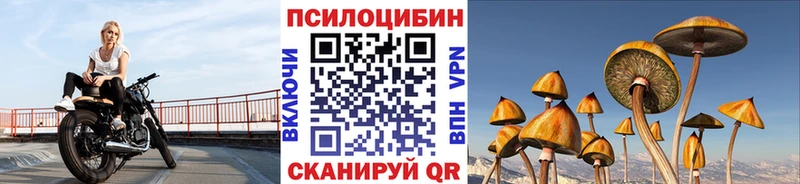 Псилоцибиновые грибы мухоморы  блэк спрут tor  Чулым 